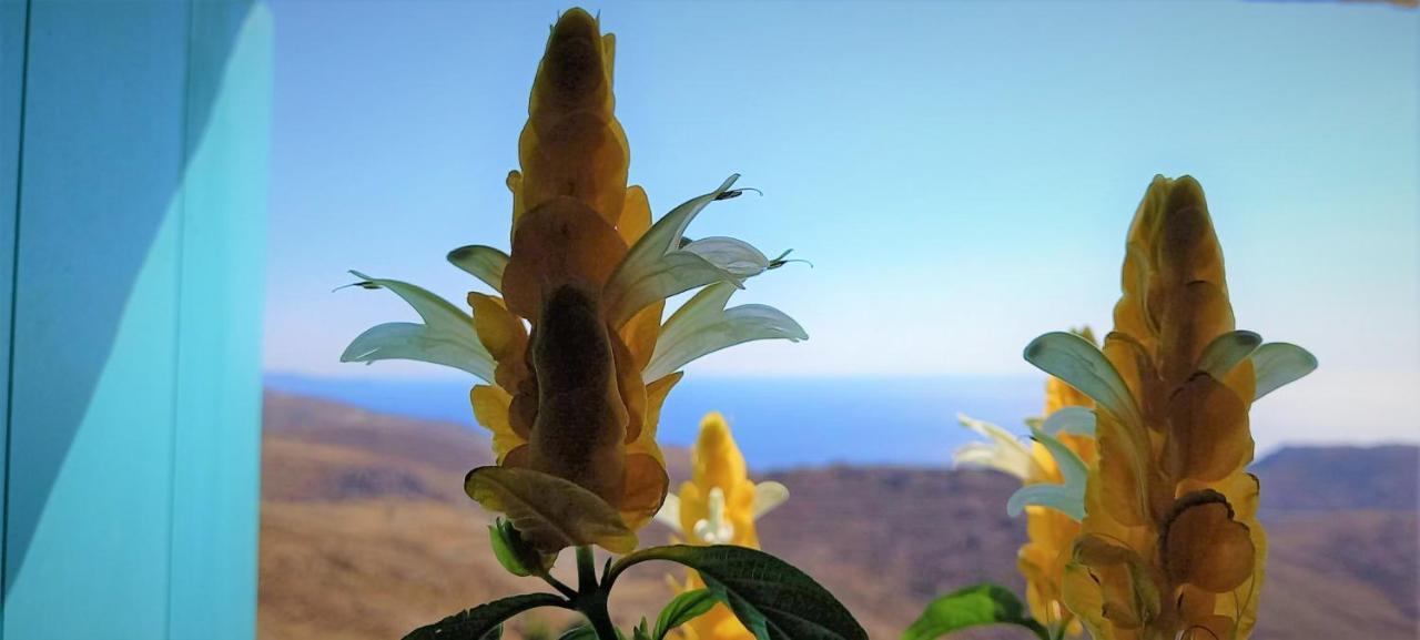 Wabisabi Chora W/ Spectacular Sea Views *
