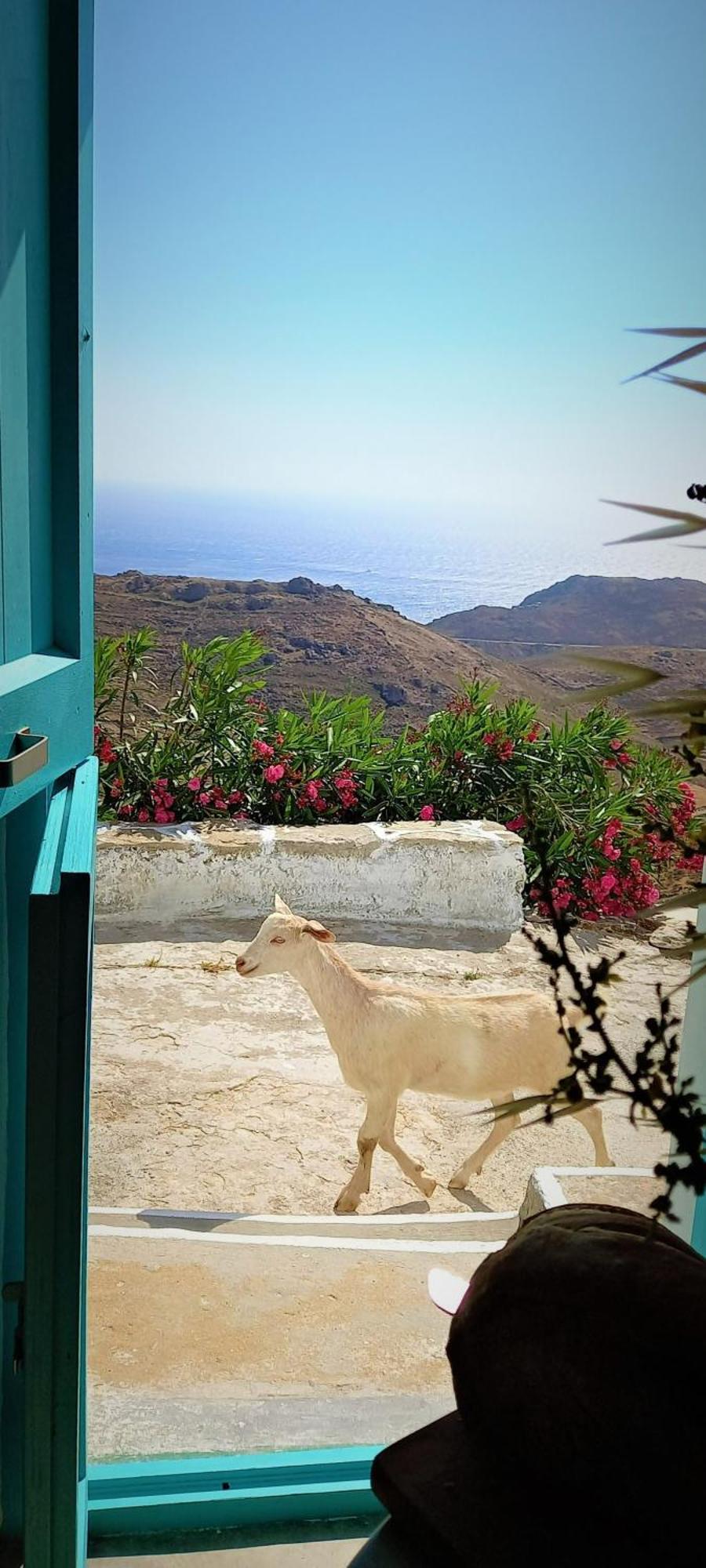 Wabisabi Chora W/ Spectacular Sea Views Holiday home *