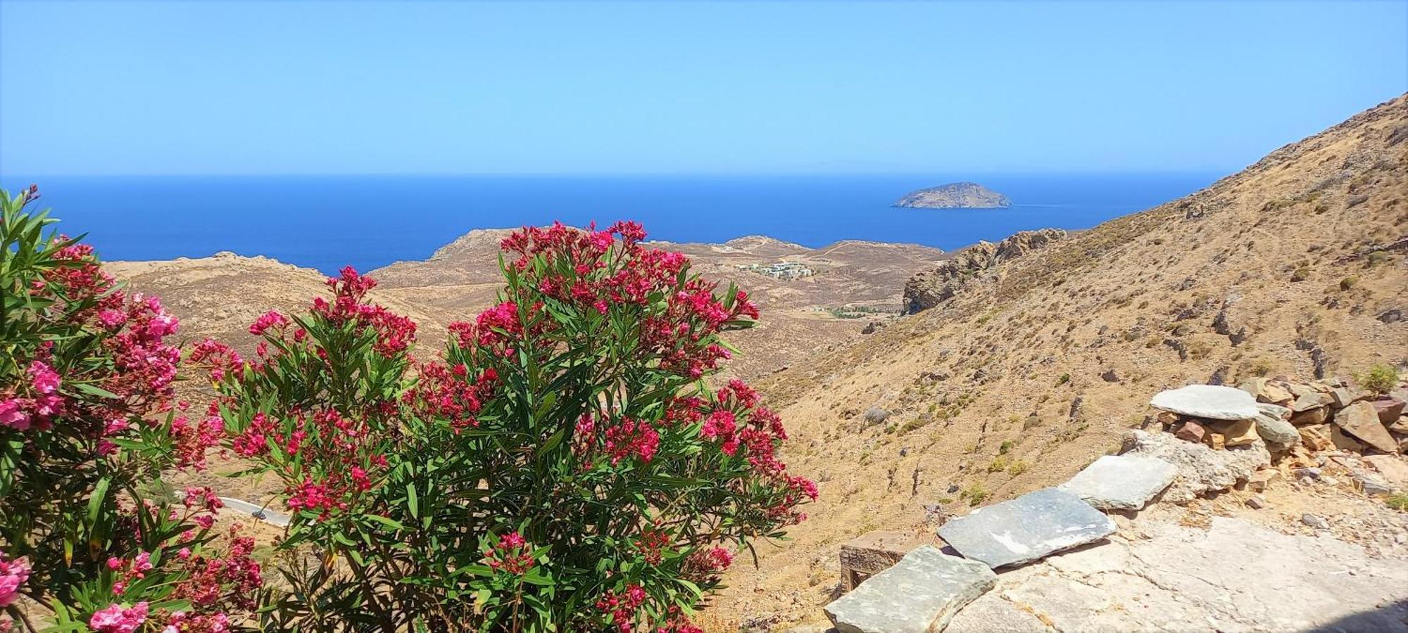 Wabisabi Chora W/ Spectacular Sea Views Holiday home Serifos Town