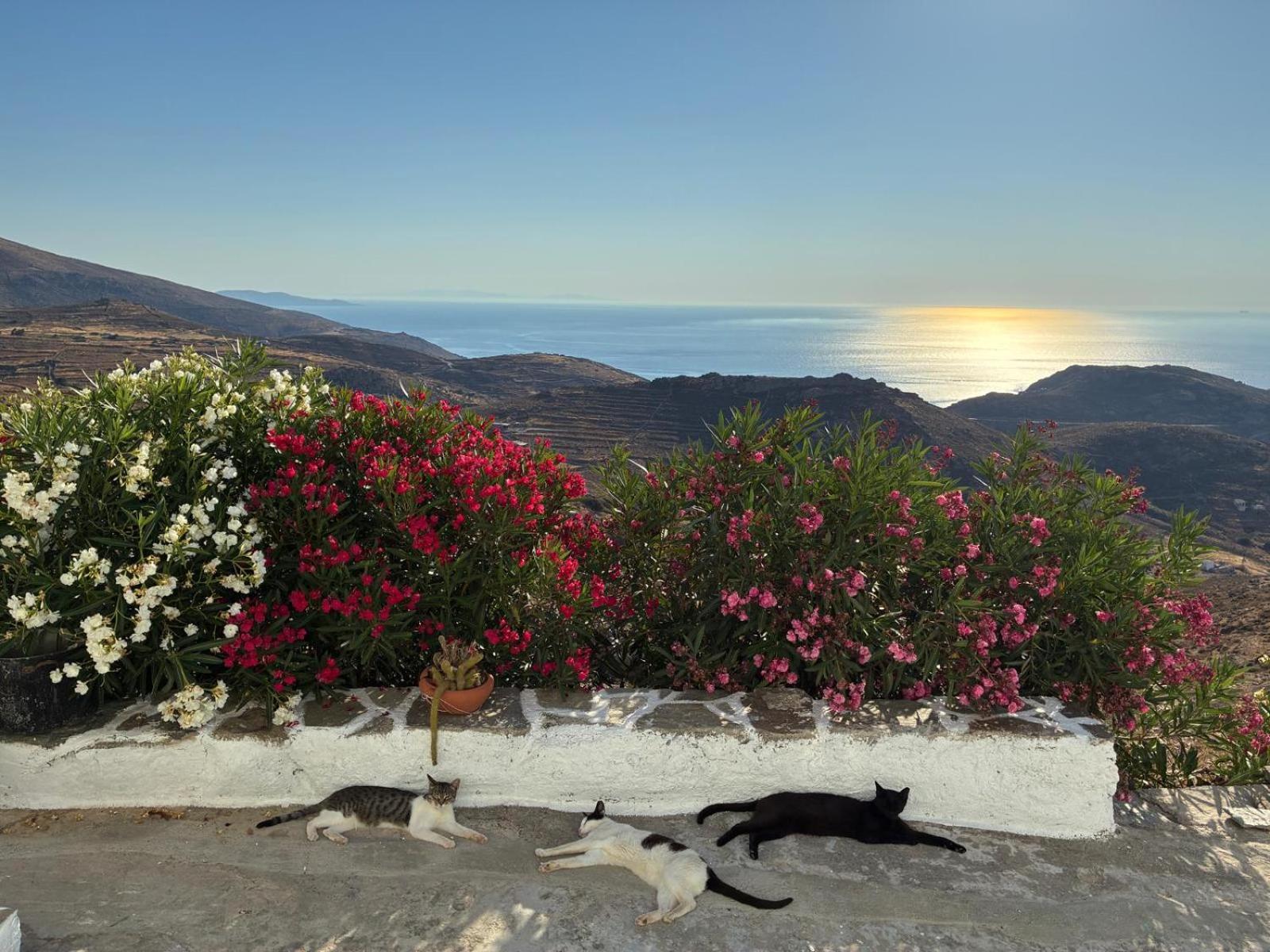 Wabisabi Chora W/ Spectacular Sea Views בית נופש Serifos Town