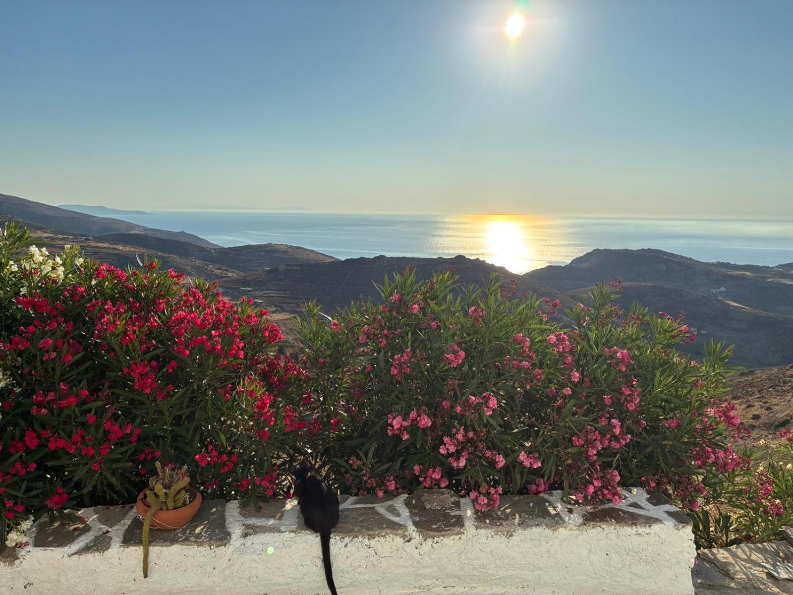 Wabisabi Chora W/ Spectacular Sea Views * Serifos Town